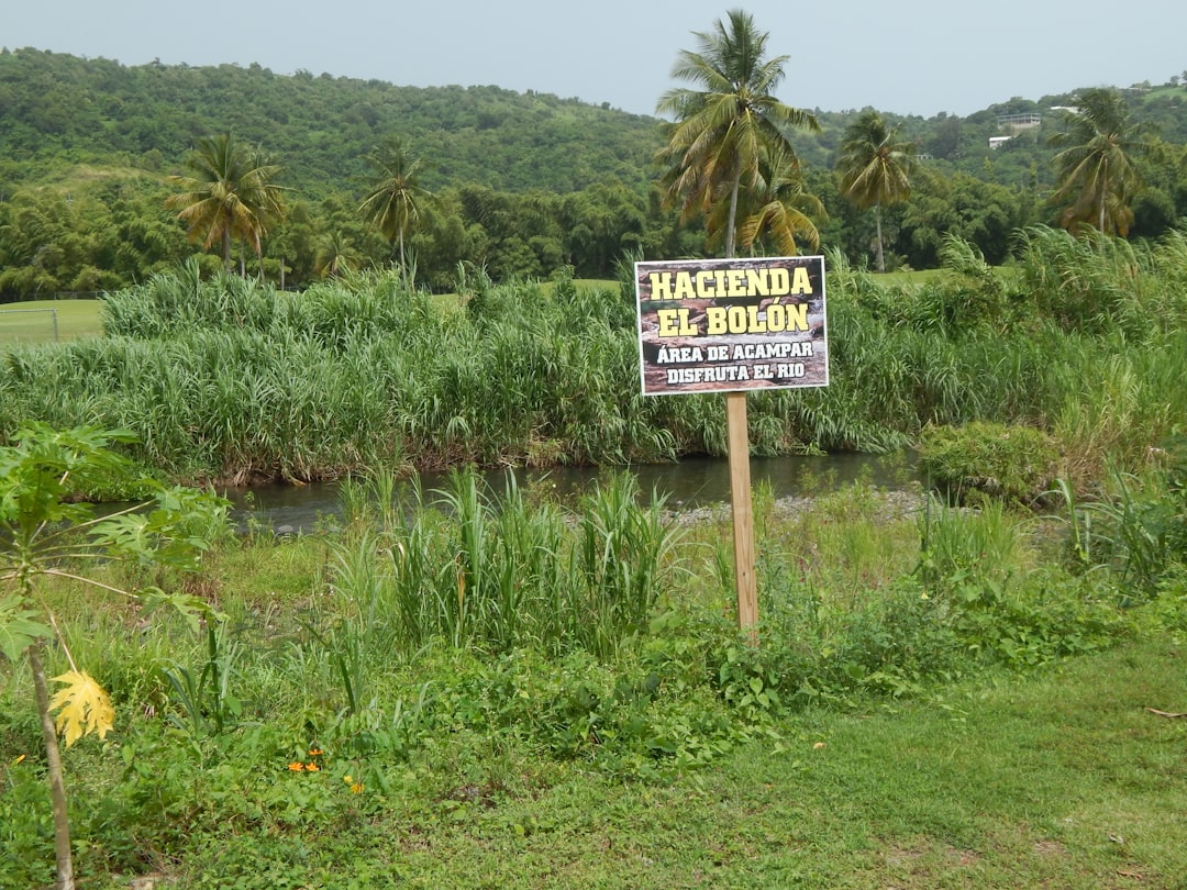 Official land price