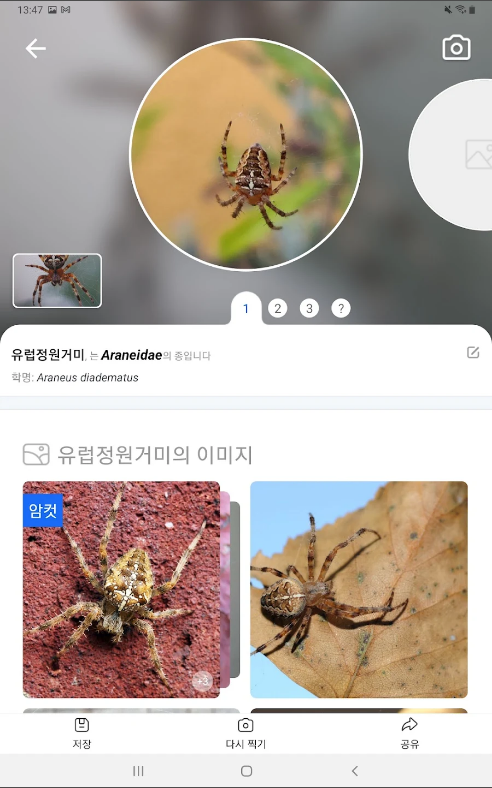 피처&nbsp;버드(Picture&nbsp;Bird),&nbsp;사진으로&nbsp;곤충&nbsp;식별,&nbsp;곤충&nbsp;이름 찾기&nbsp;어플