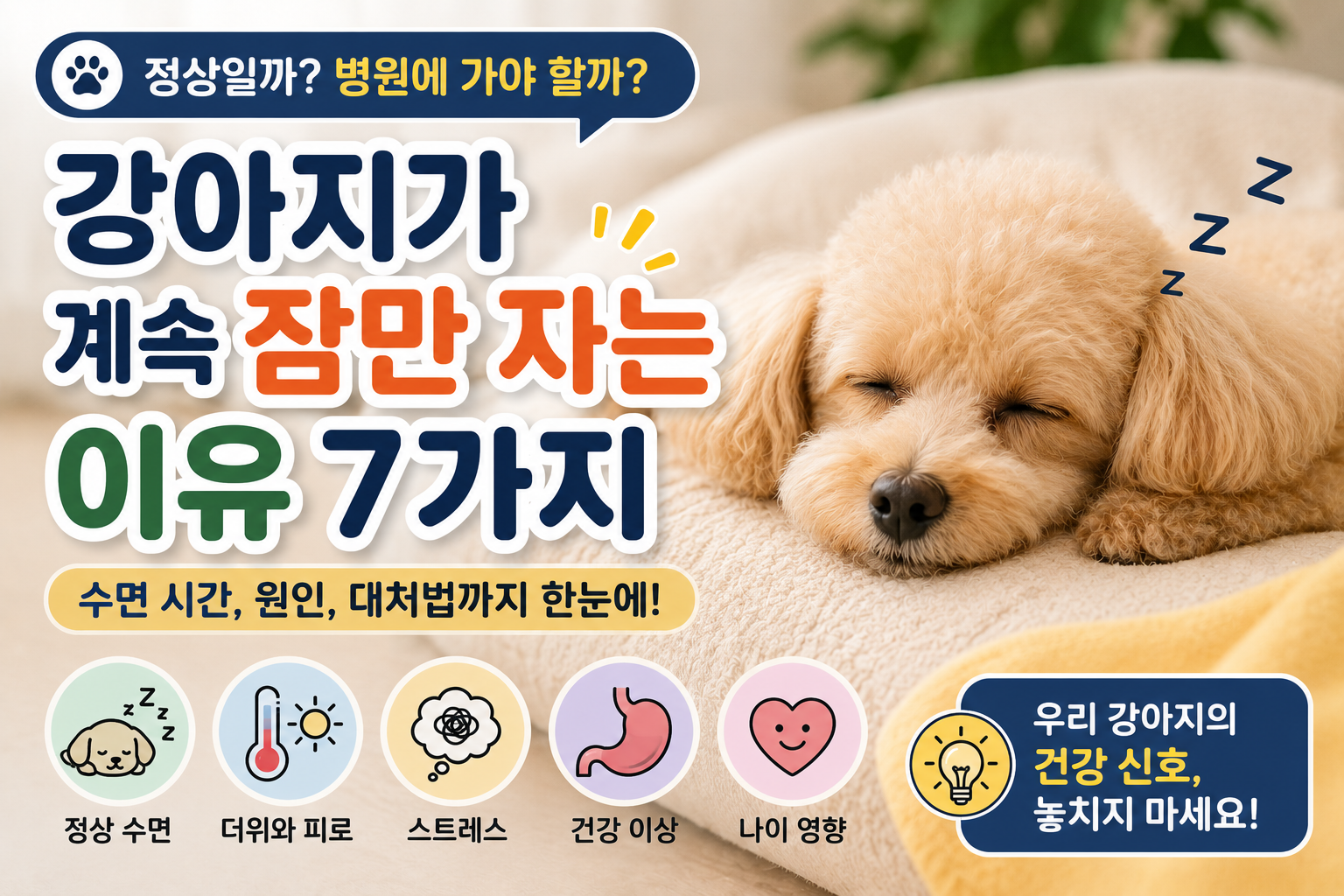 강아지가 계속 잠만 자는 이유 7가지