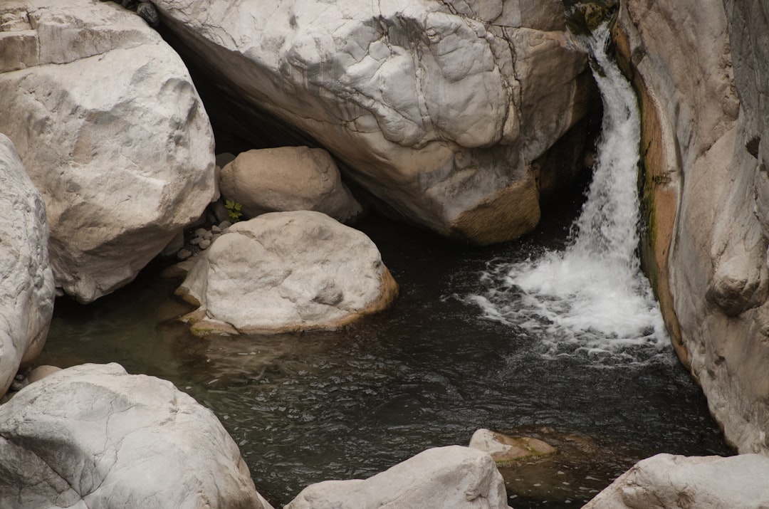 Flow