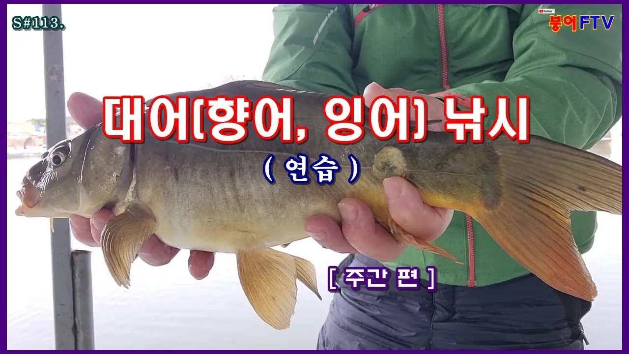 낚시 대상어 붕어 잉어 향어 입질 시간과 채비 팁_1