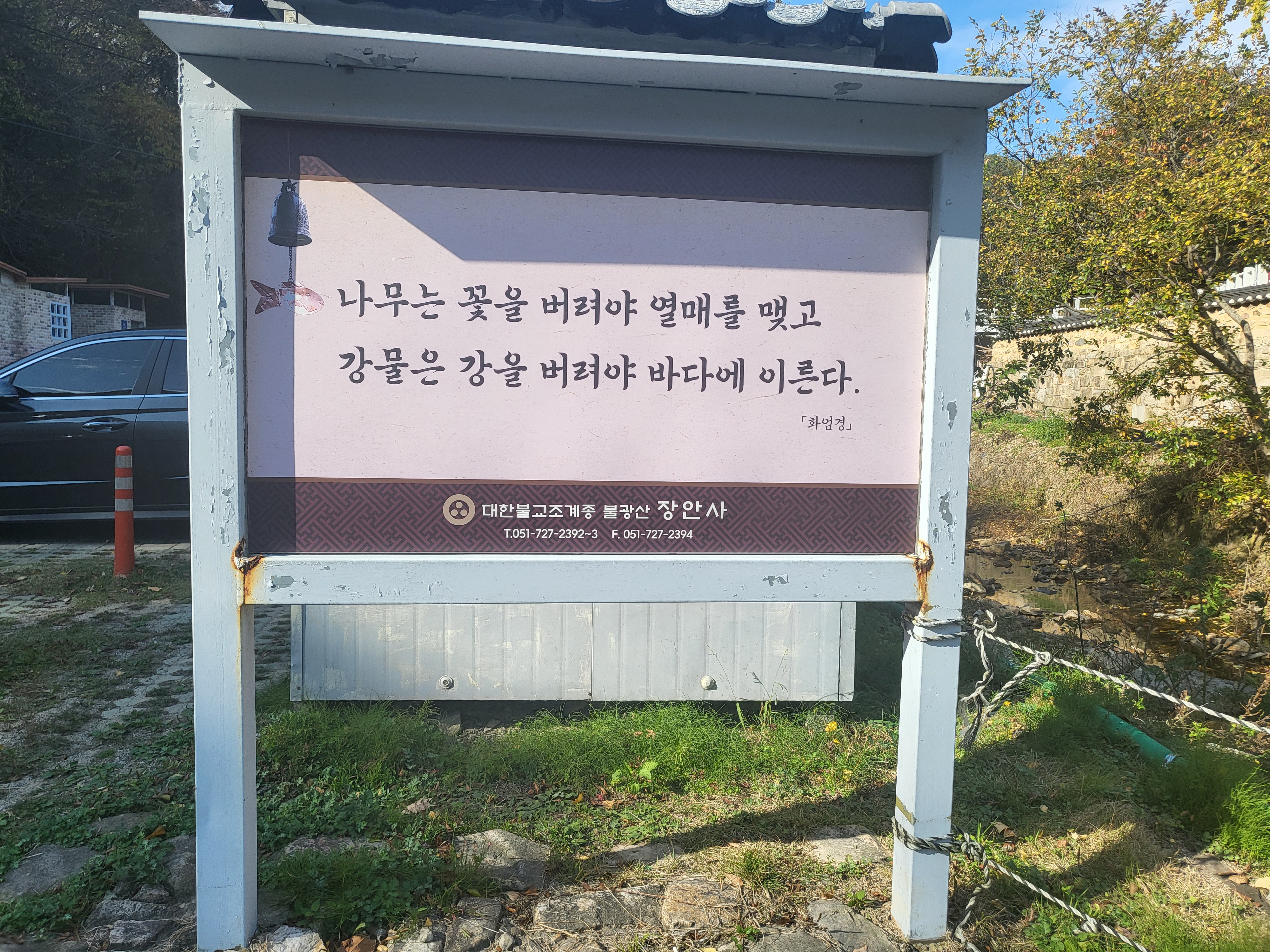 국화 향기 가득한 부산 기장 장안사 제 7회 기장 국화분재전시회가 열렸습니다.