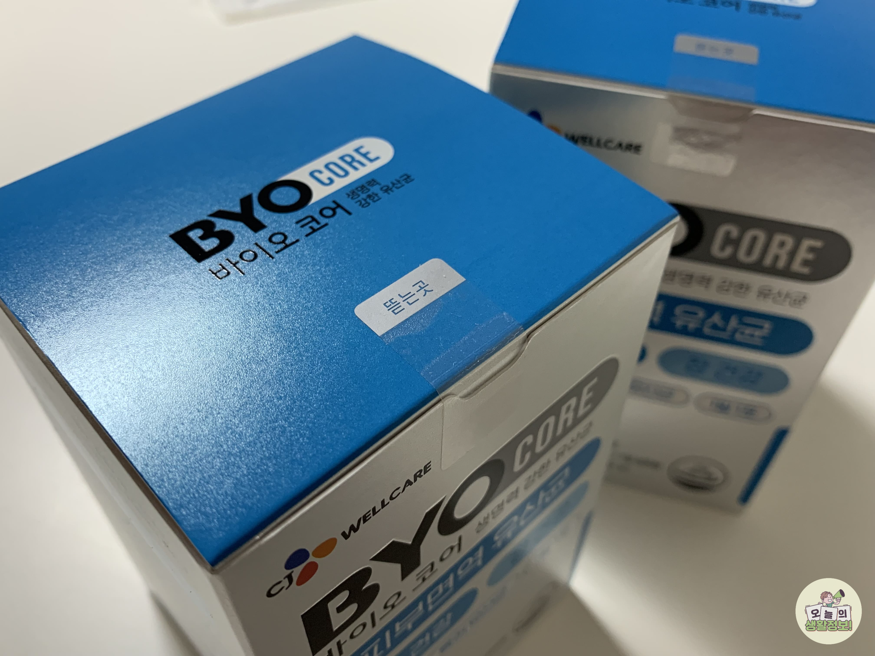 피부면역 유산균