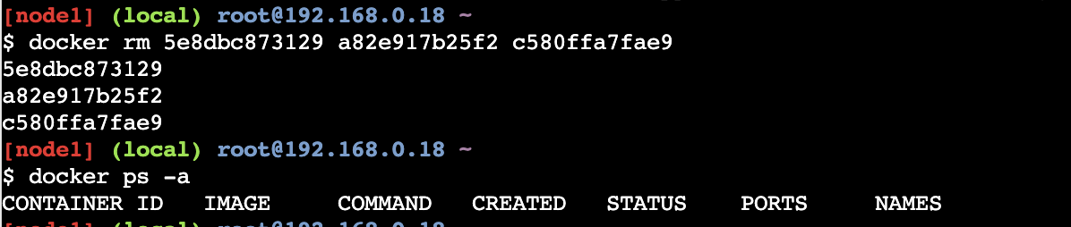 ex_docker_rm_1