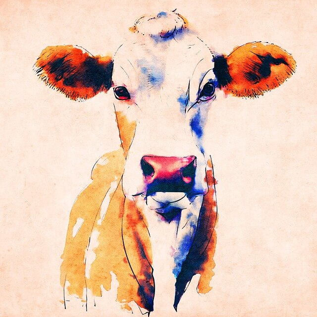 소띠 남자와 잘맞는띠. 소띠남자의 띠궁합