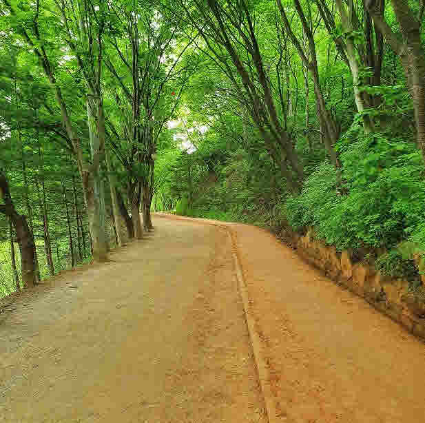 창원 용지궁원 맨발 걷기