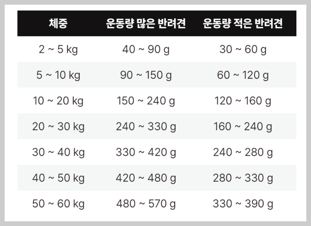 강아지 사료 추천 간식 선택 가이드
