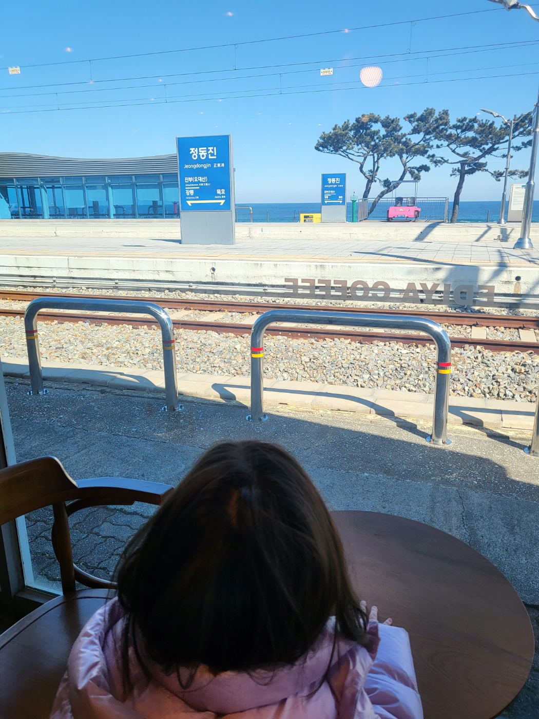 정동진 레일바이크 내돈내산 꿀팁: 모든 타임 매진 주의! 예약 방법과 입장료 정보 총정리