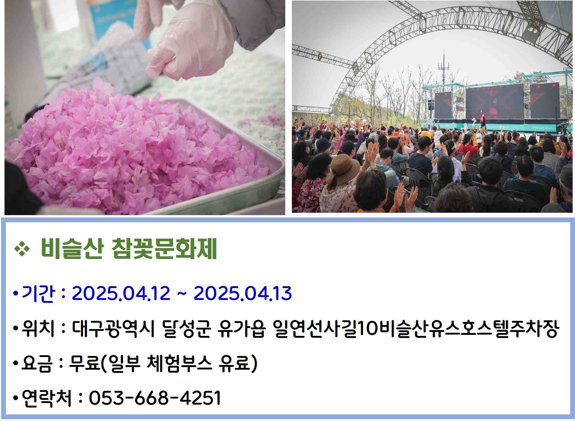 비슬산 참꽃문화제