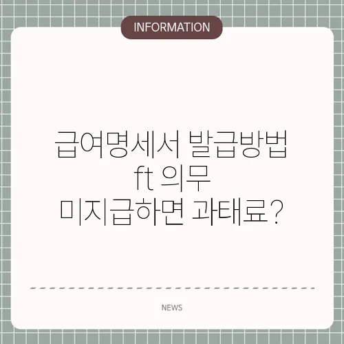 급여명세서 발급방법 ft 의무 미지급하면 과태료?