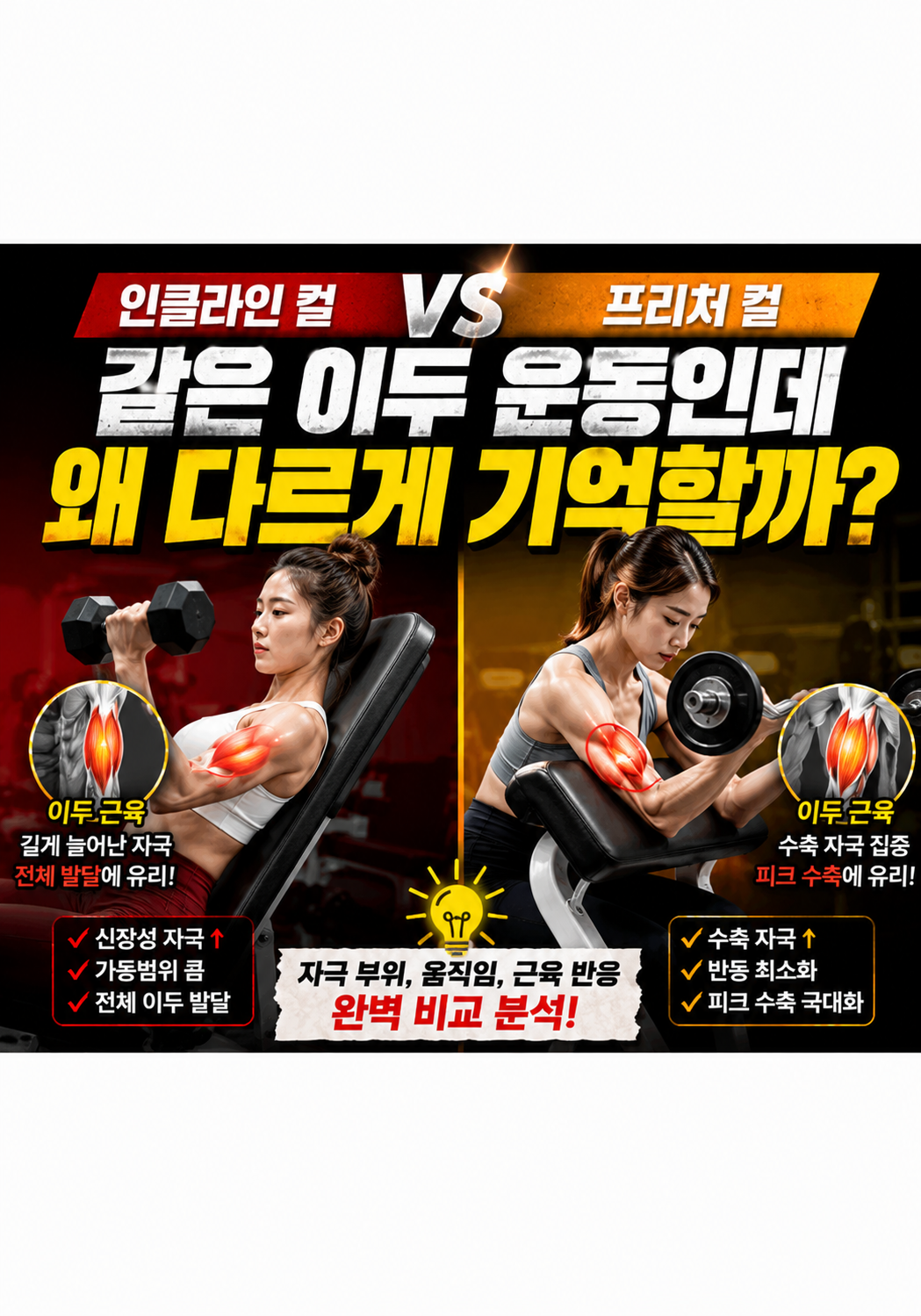 인클라인 컬 vs 프리처 컬:왜 같은 이두 운동인데 몸은 전혀 다르게 기억할까