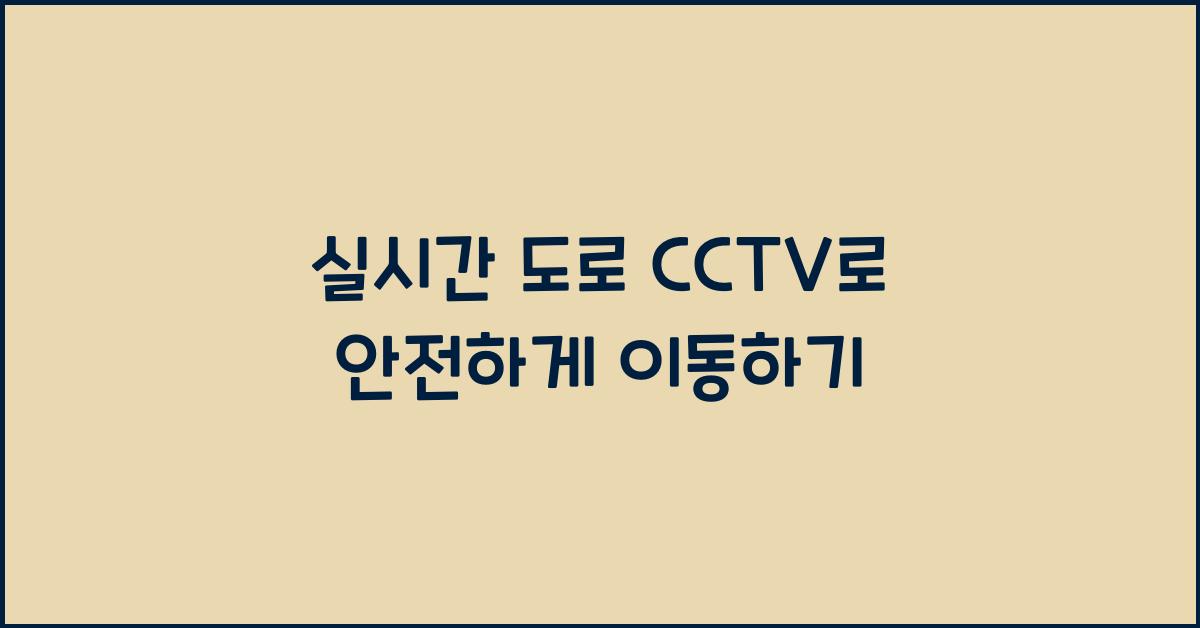 실시간 도로 cctv