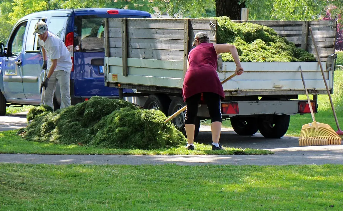 손해평가사 시험일정 시험과목 합격률
