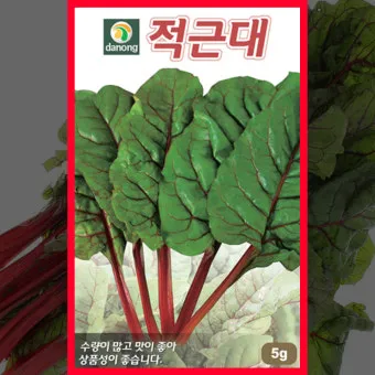 적근대 재배 씨 뿌림 솎음 수확 색 유지_5