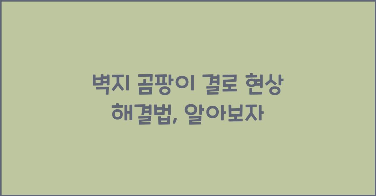 벽지 곰팡이 결로 현상