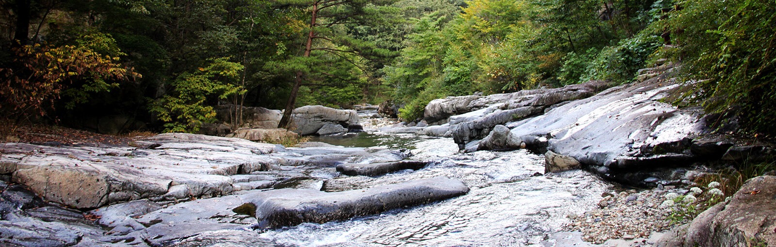 국립 운장산자연휴양림 예약