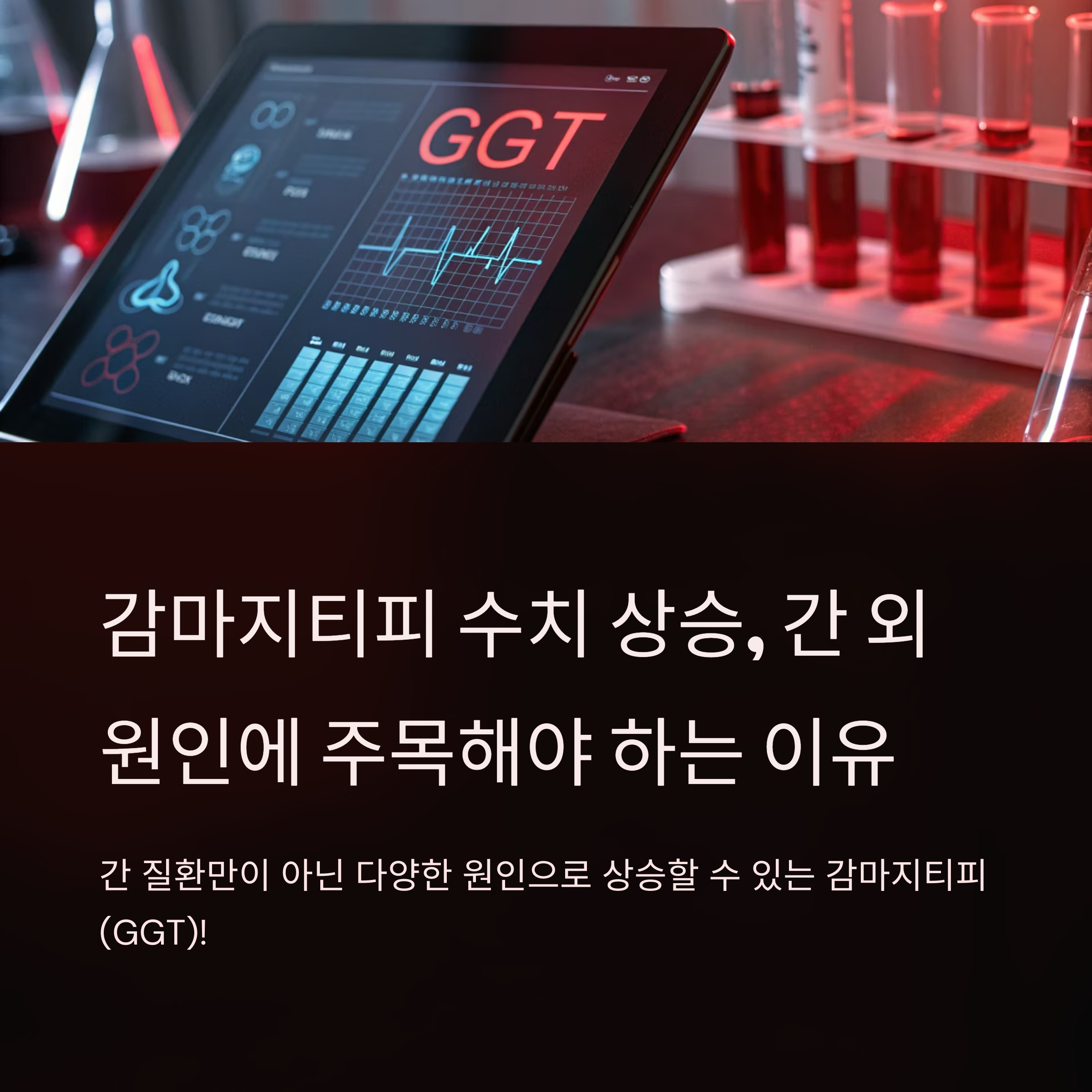 감마지티피 수치