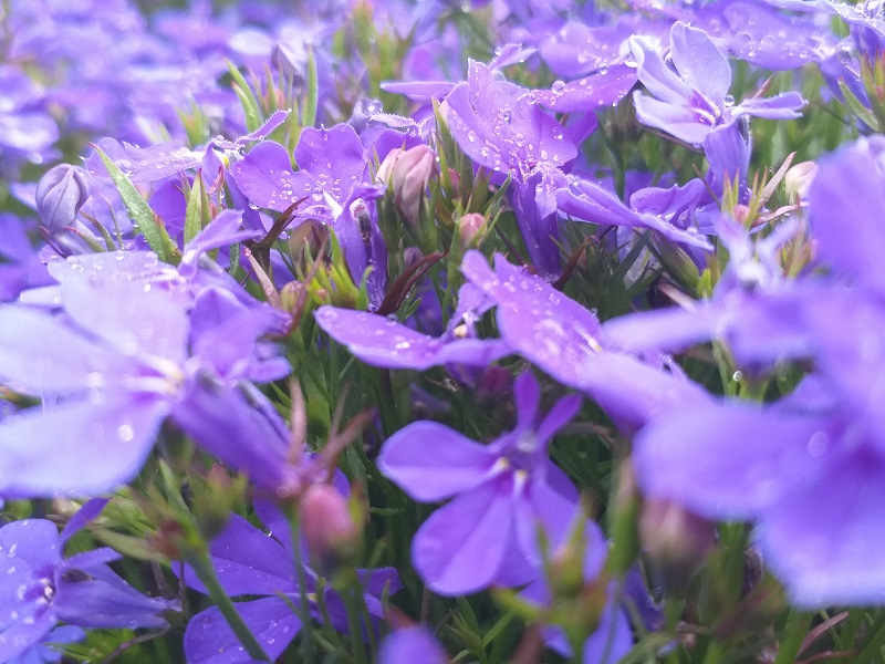 하루 만보 걷기