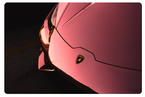 장기렌트카 번호판 차이