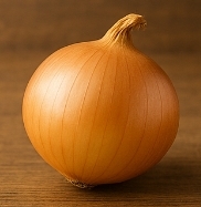 양파 효능