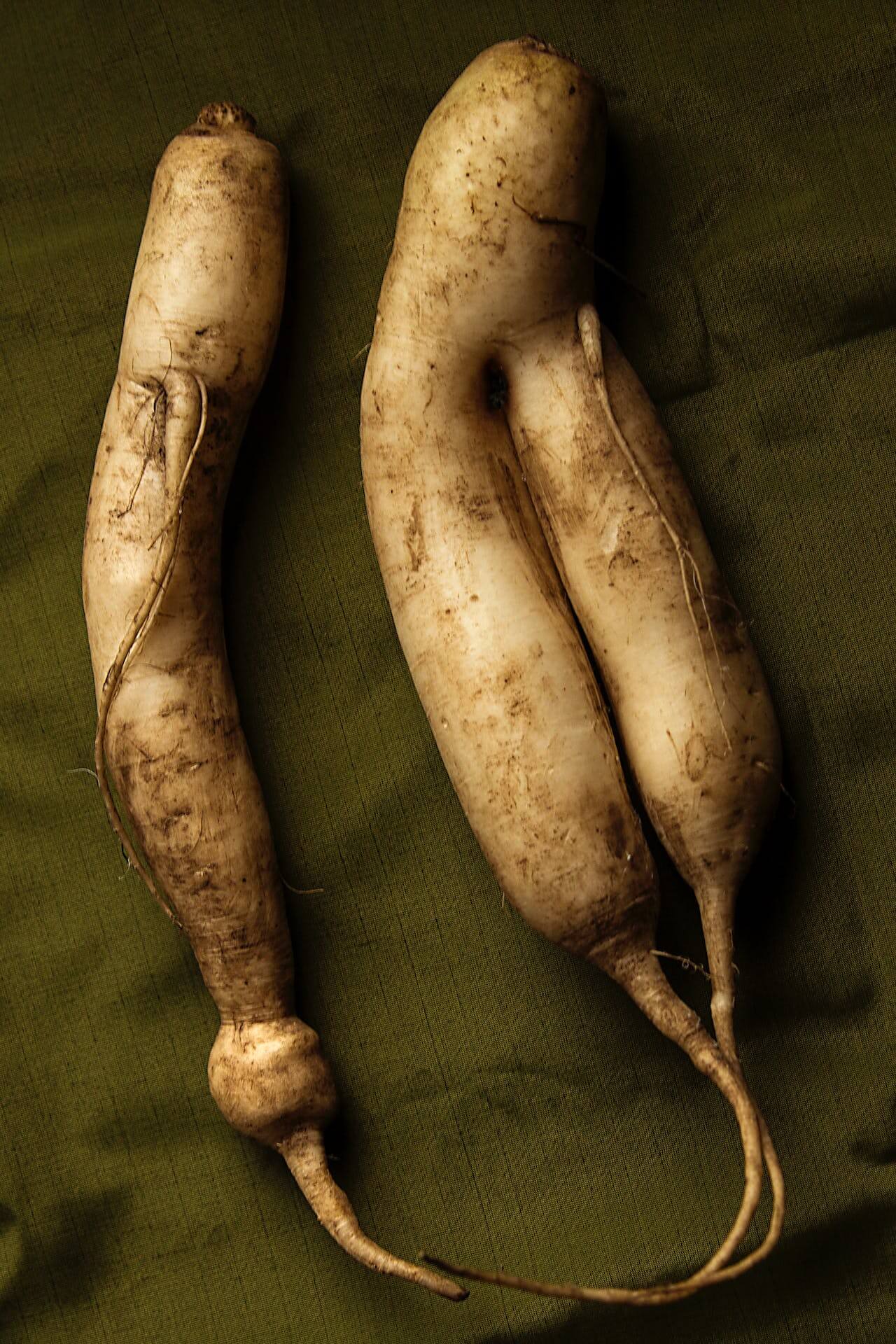 익숙하게 사용되는 식재료