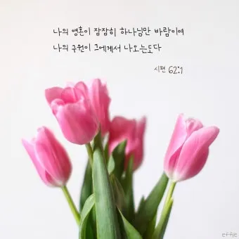 희망을 주는 성경구절 안식 위로 말씀_15