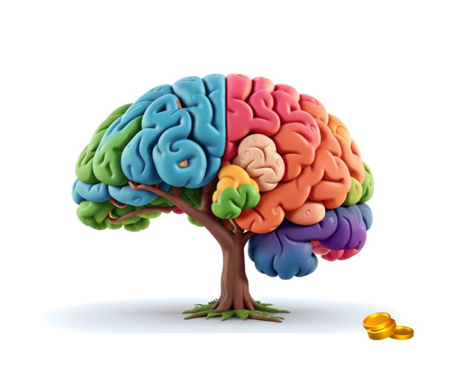 뇌 모양의 다채로운 나무와 그 옆에 놓인 금색 동전들 via canva
