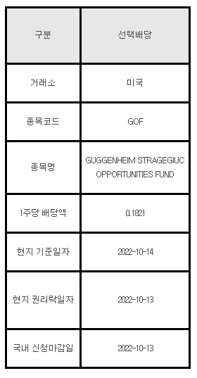 미국주식 선택배당 GOF