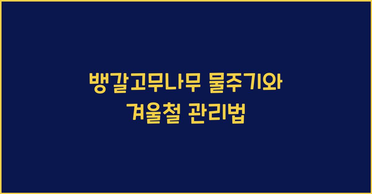 뱅갈고무나무 물주기