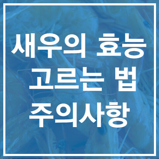 새우의 효능#44; 고르는법#44; 주의사항
