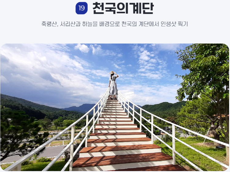 물맑음 수목원