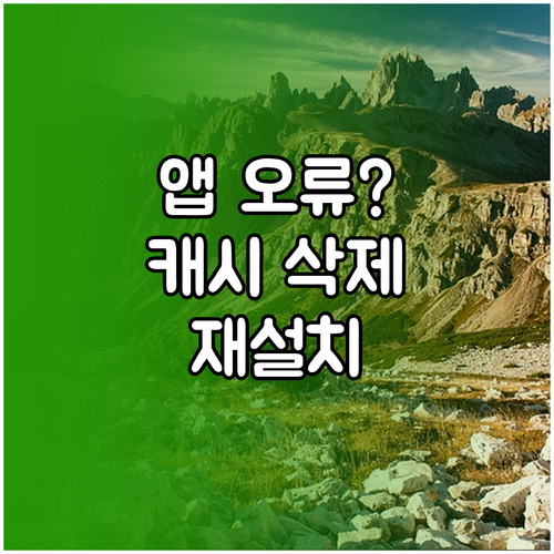 11번가 앱 캐시 삭제와 재설치로 로..