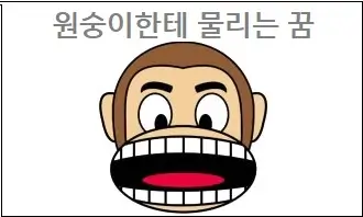 원숭이한테 물리는 꿈