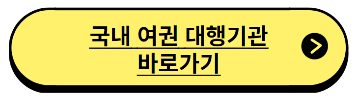 온라인 여권 재발급