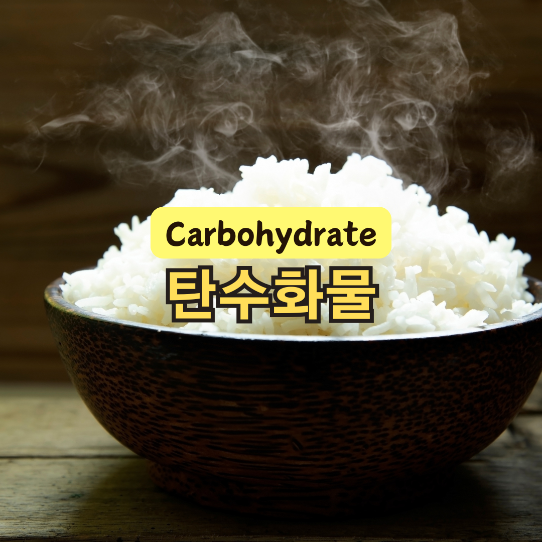 탄수화물 부족 증상과 대처 방법 알아보기
