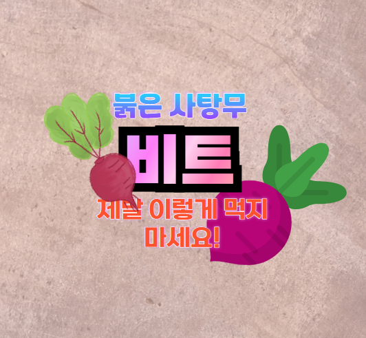비트 먹는법