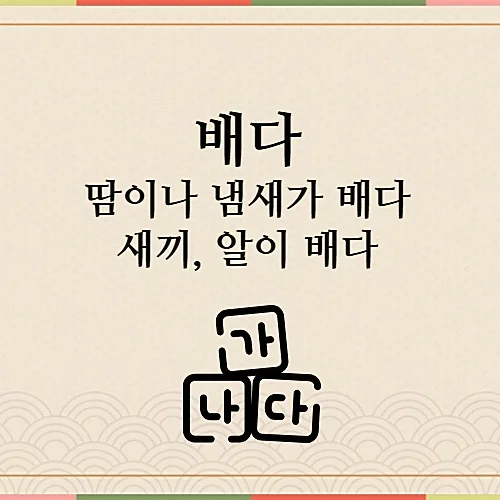 배다-예시