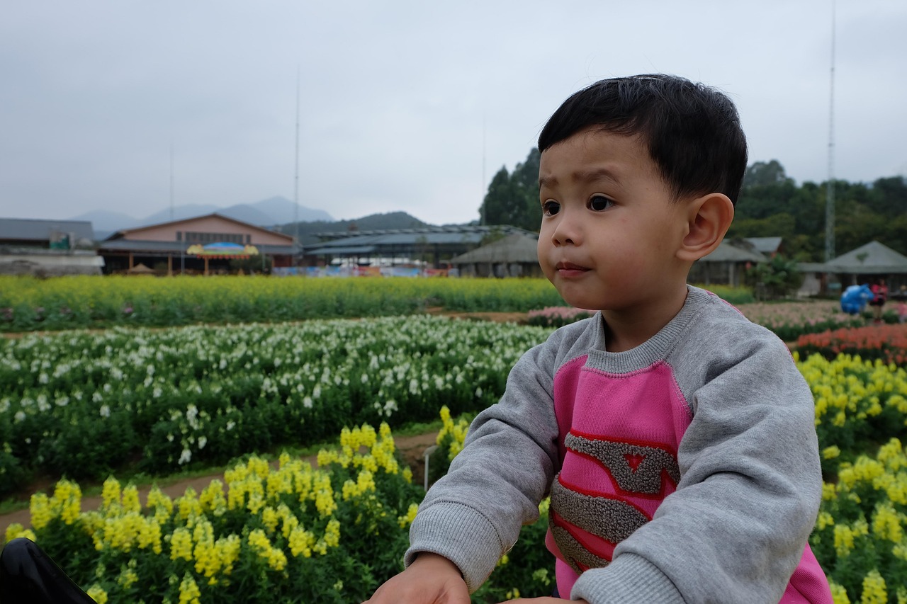 보육 및 돌봄 서비스