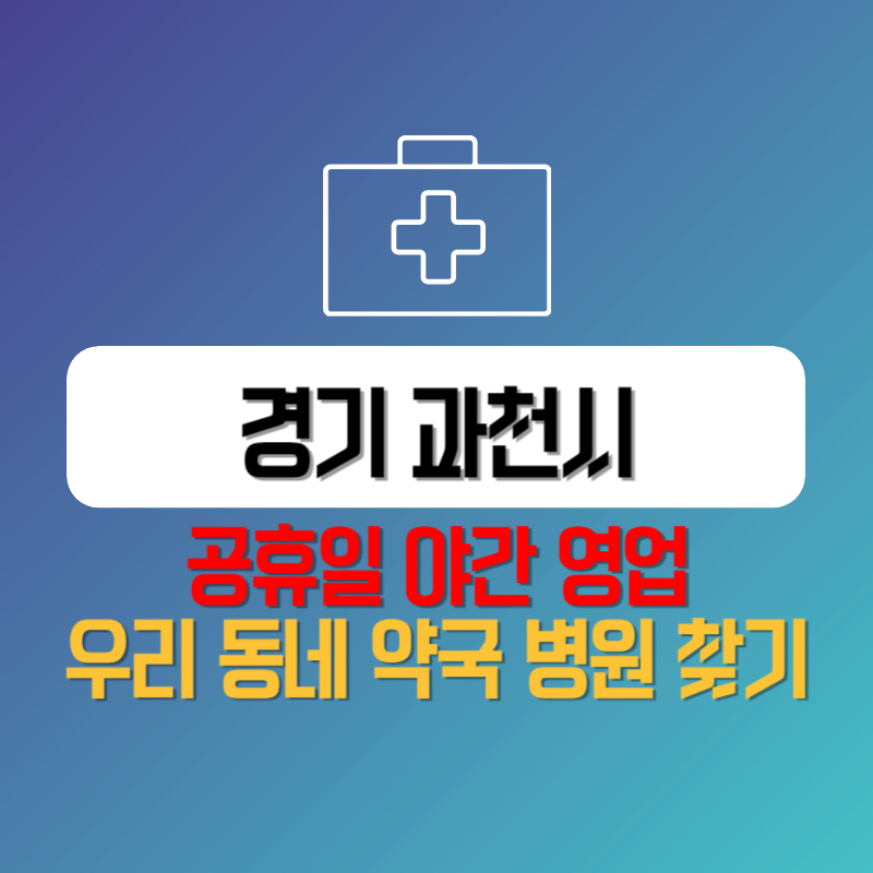 경기 과천시 공휴일 야간 영업 우리 동네 약국 병원 찾기