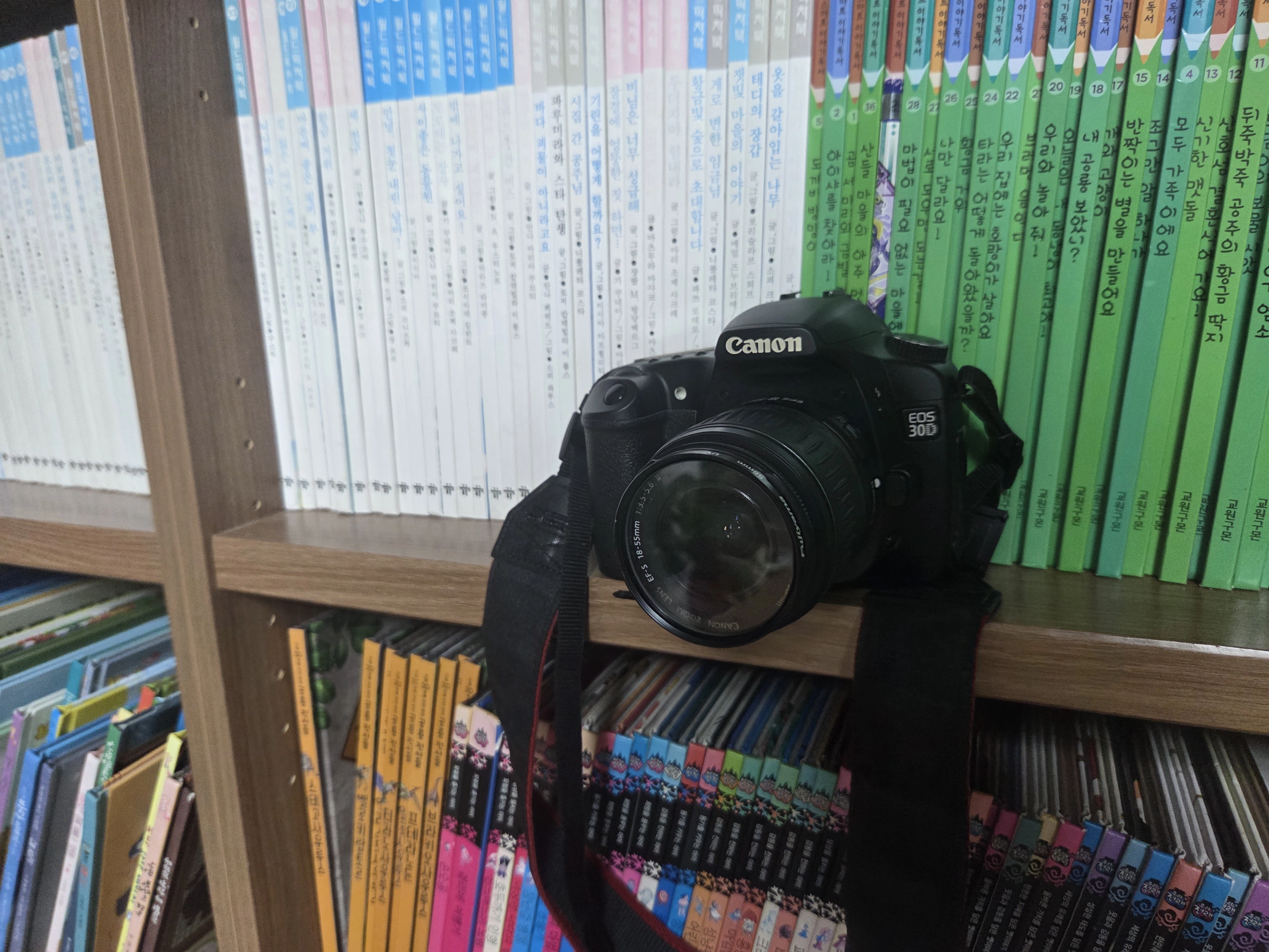 Canon EOS 30D 움직이는 피사체(아이들) 포착을 위한 AI Servo AF 메커니즘과 최적화 설정 가이드