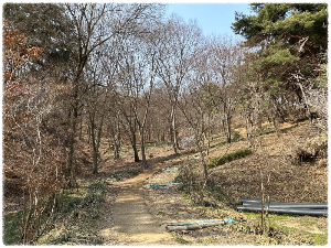 떼구르르 솔방울숲