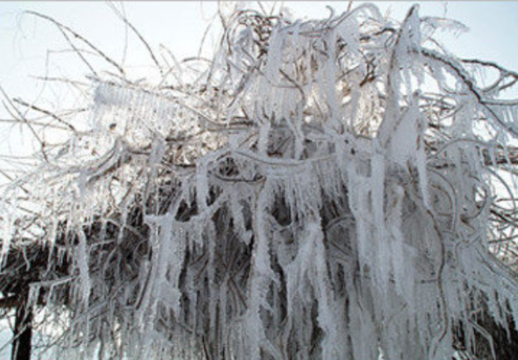 안성 동막골 빙어축제