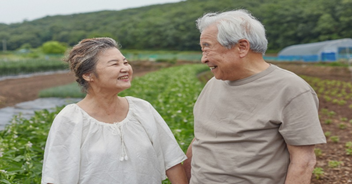 노령연금, 기초연금 중복