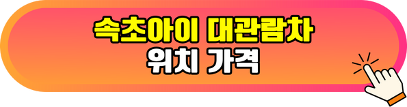 속초아이 대관람차 위치 가격