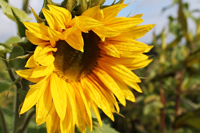 일자리 채움 청년지원금