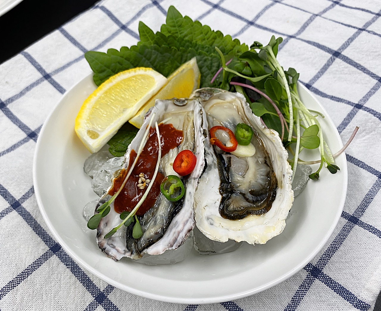 하프셀 굴 한 접시