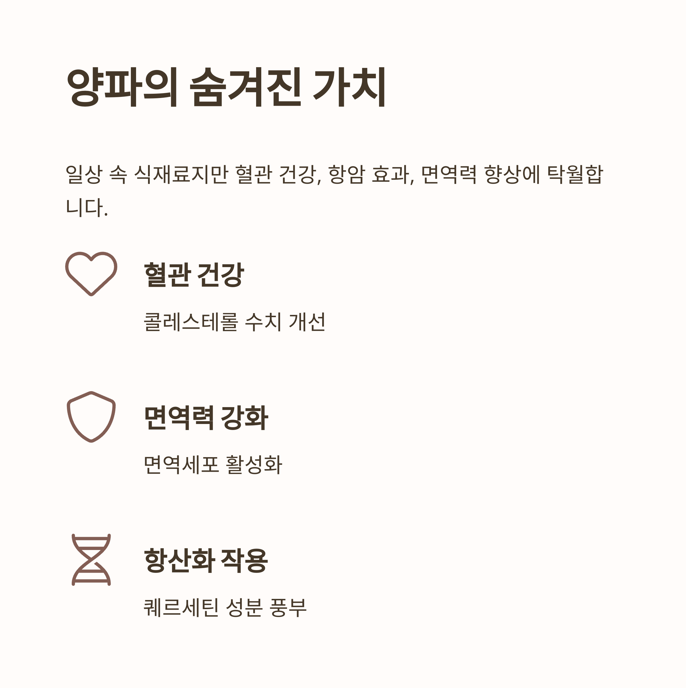 양파의 숨겨진 가치