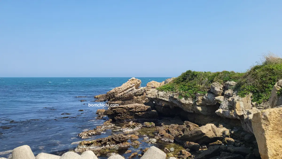 울산 바다 전경