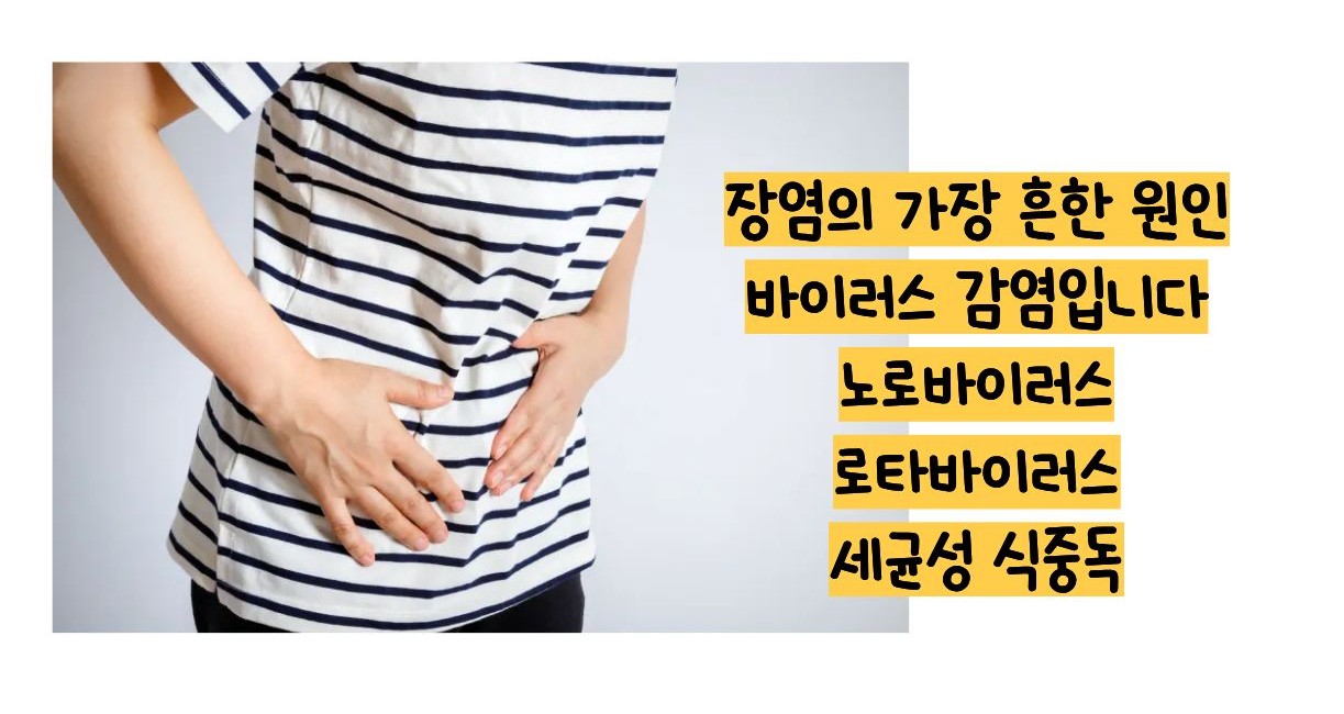장염 전염