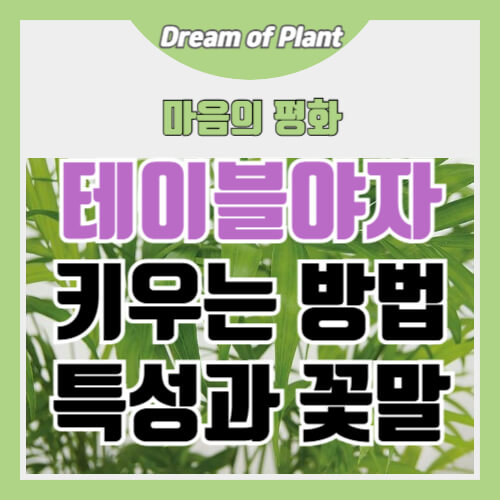 테이블야자 키우는 방법 썸네일 이미지